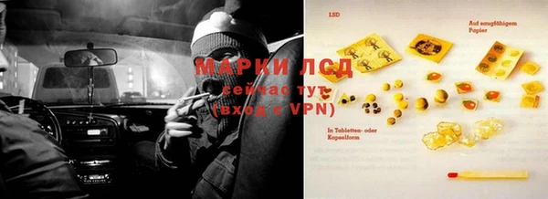 индика Сясьстрой