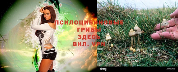 COCAINE Новокубанск