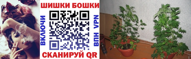 Шишки марихуана тримм  Перевоз 